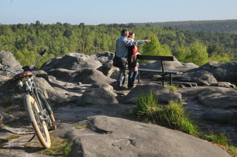 Foret de Fontainebleau