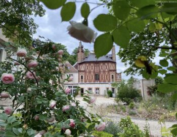 Vue extérieur Château