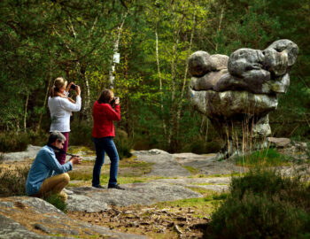 Foret de Fontainebleau