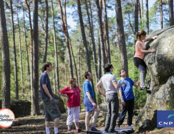 Globe climber escalade en forêt de Fontainebleau