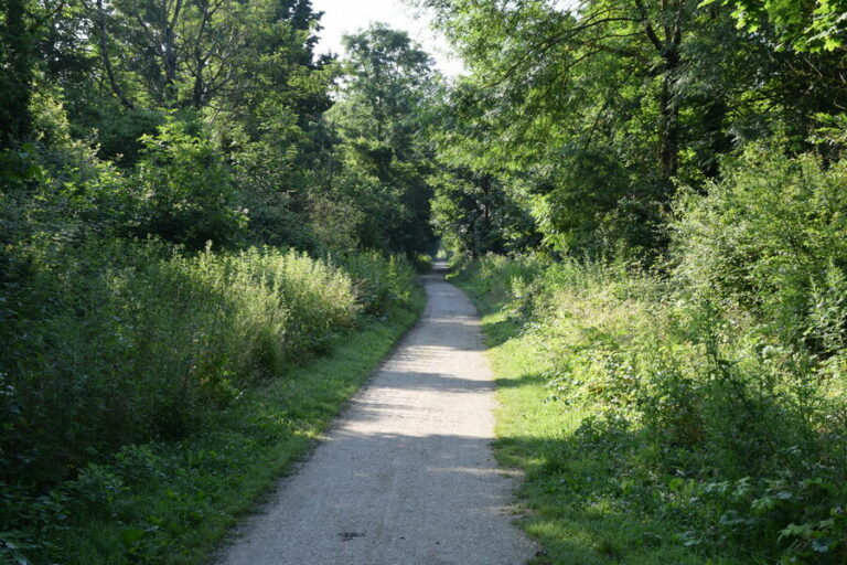 Les Gués sur l’Yerres - Tourisme