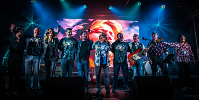 Festival Le Plein Air, concerts Rock Blues et Pop à Provins