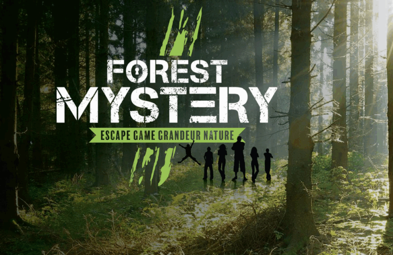 Forest Mystery