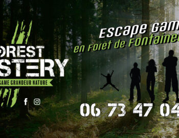 Forest Mystery