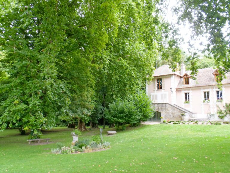 Groupe de 10 platanes