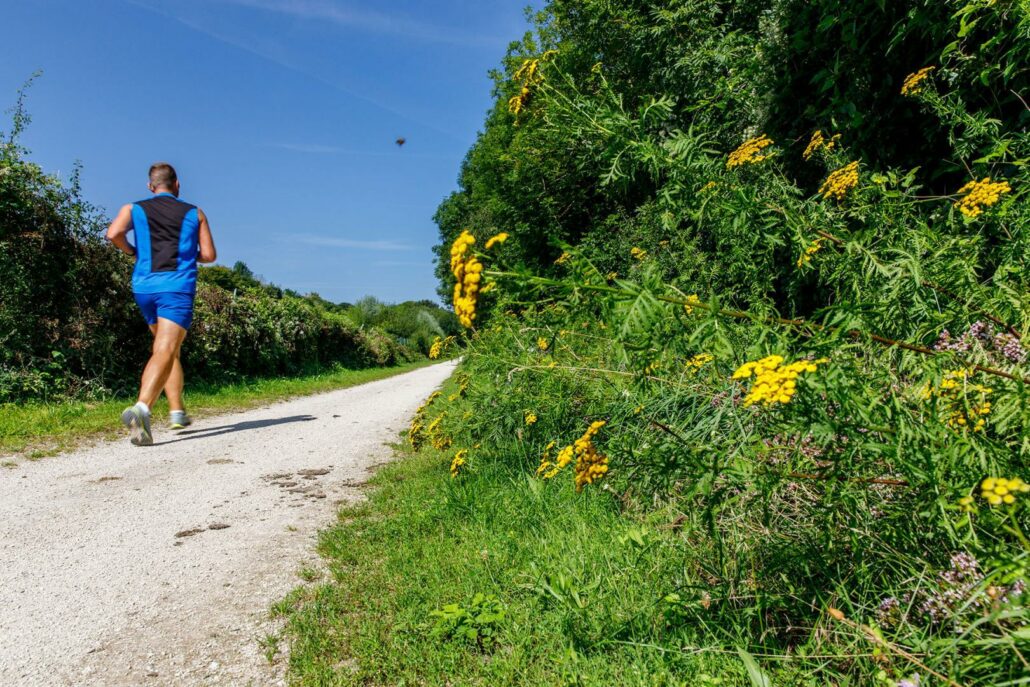 Espace Naturel Sensible : Le Chemin Des Roses - Tourisme