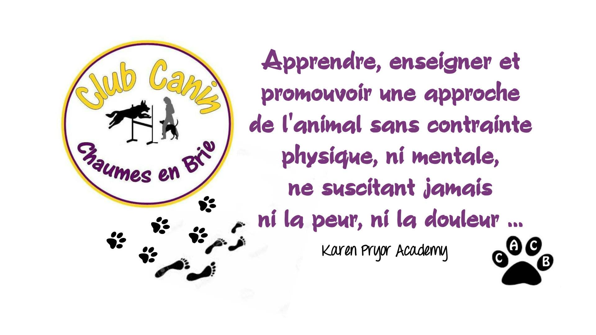 Club Agility de Chaumes