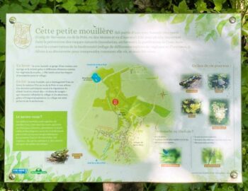 La petite Mouillère