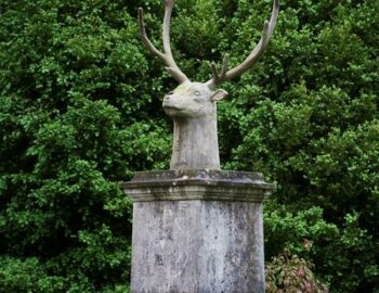 Exposition : Grandeur Nature II, l'Esprit de la Forêt_Fontainebleau