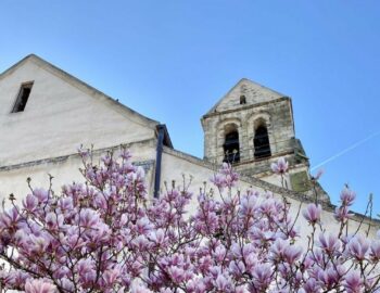 Église Notre Dame de Soignolles-en-Brie