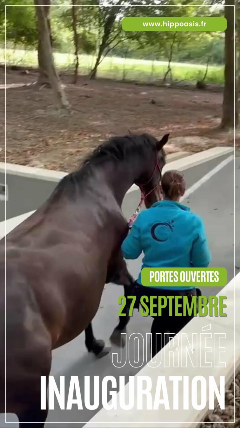 Portes ouvertes Hipp&rsquo;Oasis à Saint-Mery