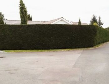 Centrale Service_Grisy-Suisnes