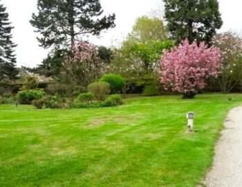 Centrale Service_Grisy-Suisnes