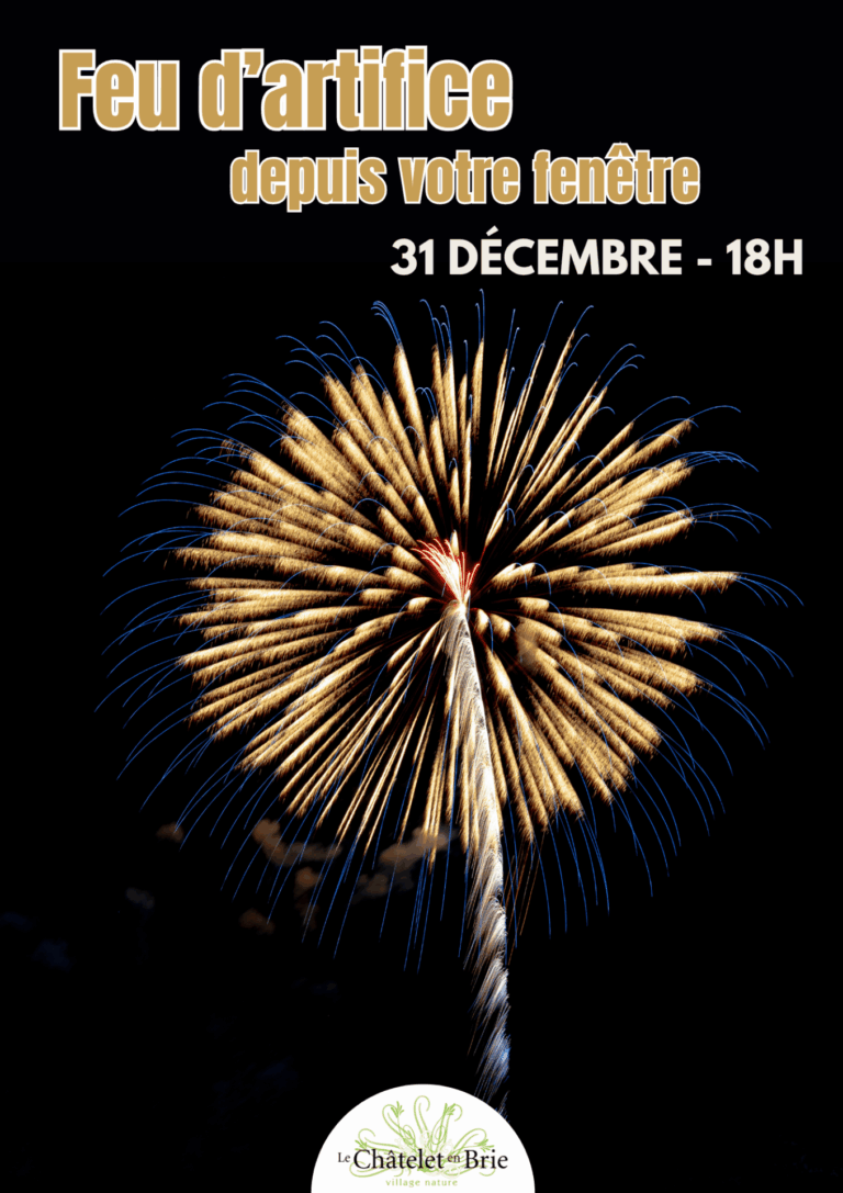 Feu d’artifice du Nouvel An au Châtelet-en-Brie