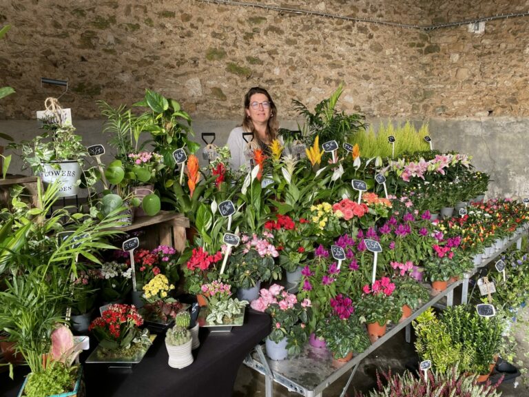 Marché de Soignolles